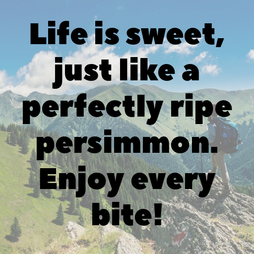 158+ Persimmon Captions For Instagram In (2025) 7 Persimmon Captions Image For Instagram In (2025)-vTEirz