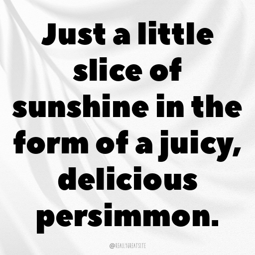 158+ Persimmon Captions For Instagram In (2025) 8 Persimmon Captions Photo For Instagram In (2025)-A6XK2c