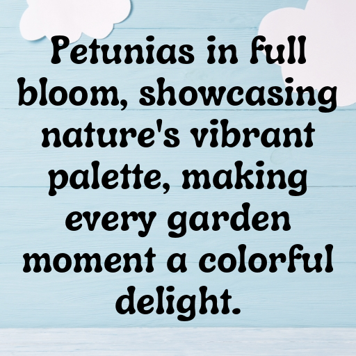 Petunia Captions Image For Instagram In 2025-gx77Nh