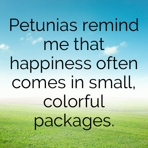 Petunia Captions Photo For Instagram In 2025-4YRto0