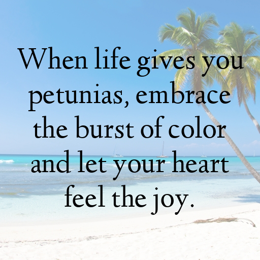 Petunia Captions Photo For Instagram In 2025-lZsVRS