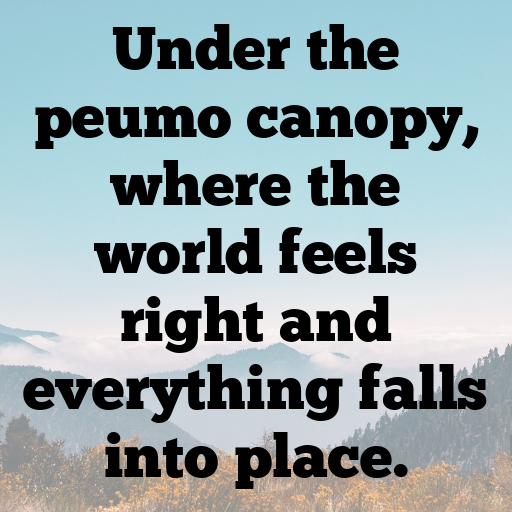 Peumo Captions Image For Instagram In (2025)-AFuKc9