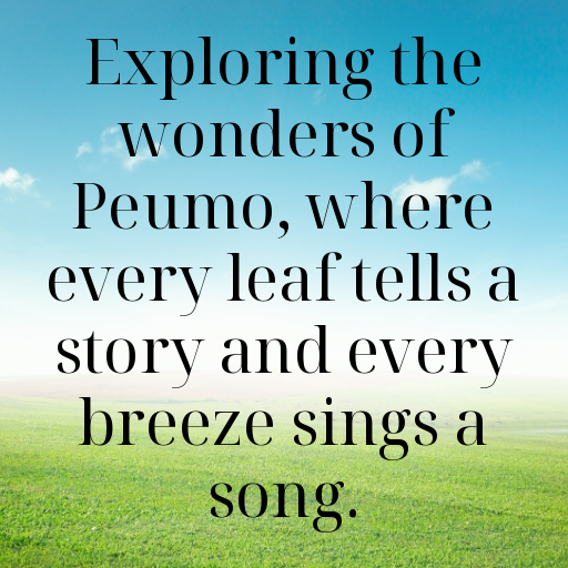 Peumo Captions Image For Instagram In (2025)-h3ZIvw