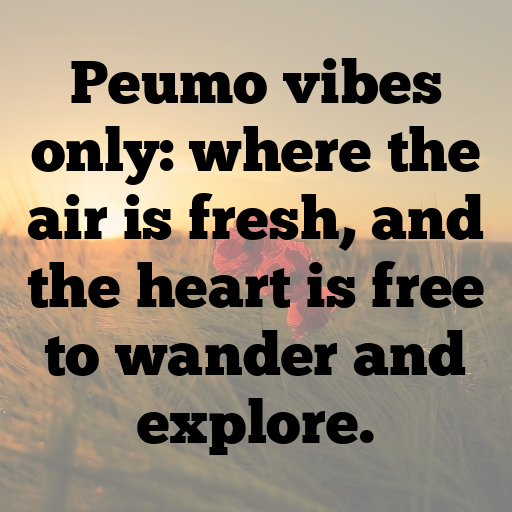 Peumo Captions Photo For Instagram In (2025)-18peKr