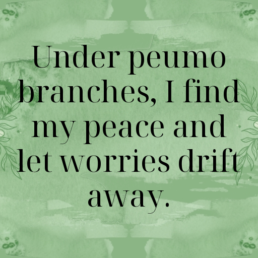 Peumo Captions Photo For Instagram In (2025)-AjBEWU