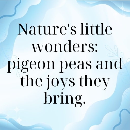 Pigeon Pea Captions Photo For Instagram In 2025-U2OWDd