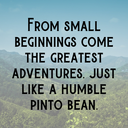 Pinto Bean Captions Photo For Instagram In 2025-FsFhsZ