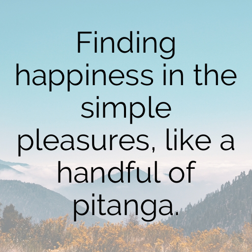 Pitanga Captions Photo For Instagram In [2025]-HK43X3