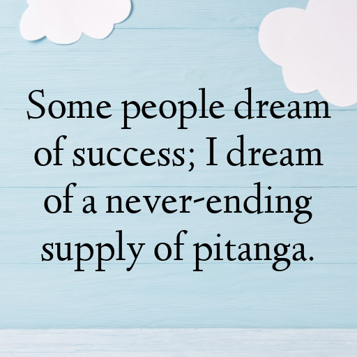 Pitanga Captions Photo For Instagram In [2025]-JkyytH