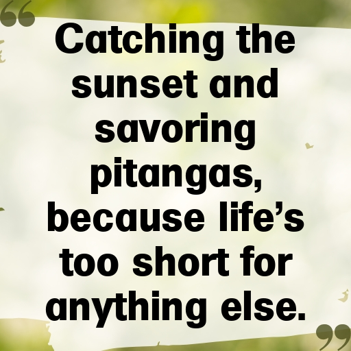 Pitanga Captions Photo For Instagram In [2025]-lAmoaS