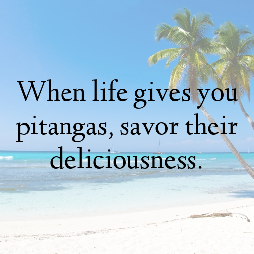 Pitanga Captions Photo For Instagram In [2025]-XVPSC5