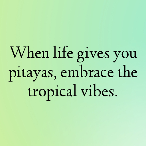 190+ Pitaya Captions For Instagram In 2025 5 Pitaya Captions Image For Instagram In 2025-ChTKE0