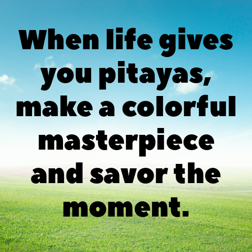 190+ Pitaya Captions For Instagram In 2025 3 Pitaya Captions Image For Instagram In 2025-vkt8x9