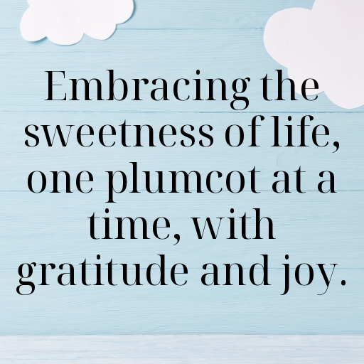 Plumcot Captions Image For Instagram In [2025]-iIuWfk