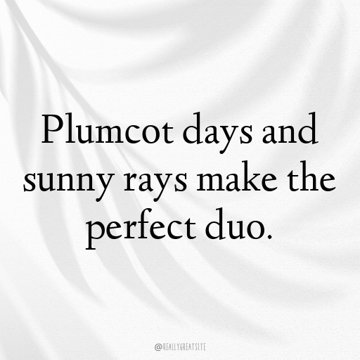 Plumcot Captions Photo For Instagram In [2025]-akgWJ3