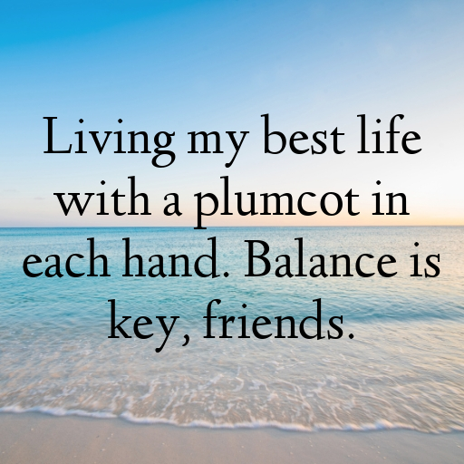 Plumcot Captions Photo For Instagram In [2025]-b8YdKS