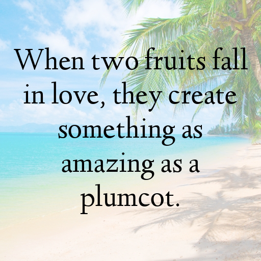 Plumcot Captions Photo For Instagram In [2025]-FGo2wM