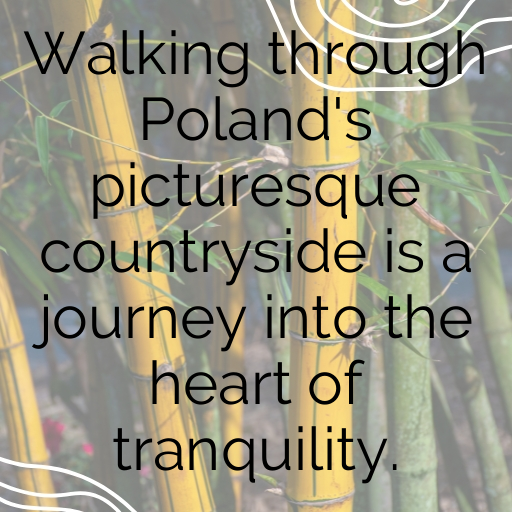 180+ Poland Captions For Instagram In 2025 8 Poland Captions Photo For Instagram In 2025-zxPCDP