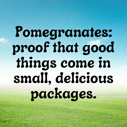 Pomegranate Captions Image For Instagram In 2025-OEAt1P