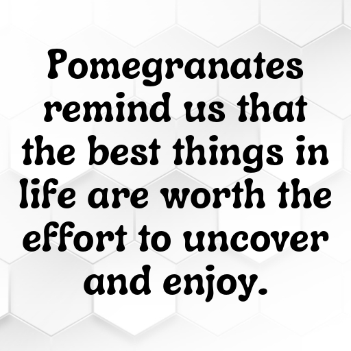Pomegranate Captions Photo For Instagram In 2025-p1VrQH