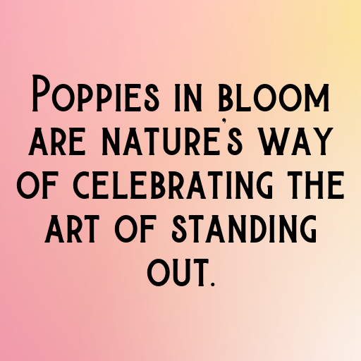 Poppy Captions Image For Instagram In [2025]-3lHMPj