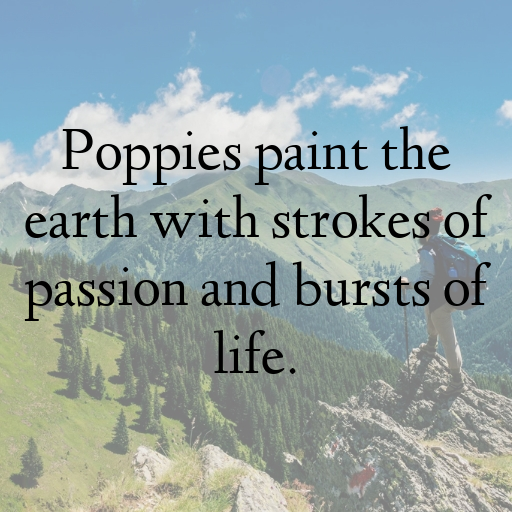 Poppy Captions Image For Instagram In [2025]-UmrNu3