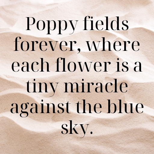 Poppy Captions Photo For Instagram In [2025]-bVTQDk