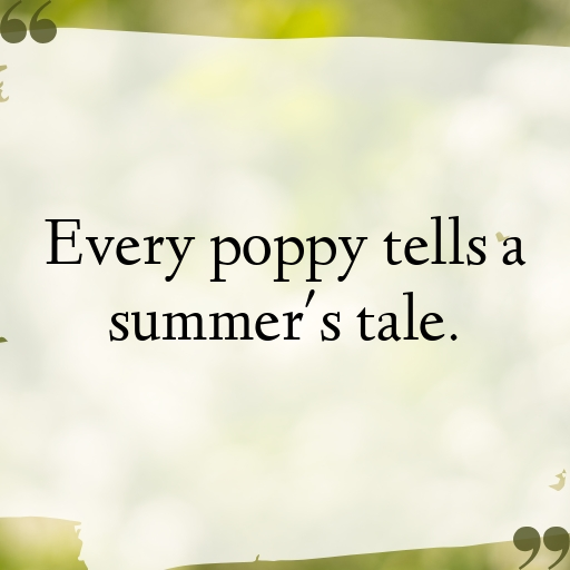 Poppy Captions Photo For Instagram In [2025]-mN41RA
