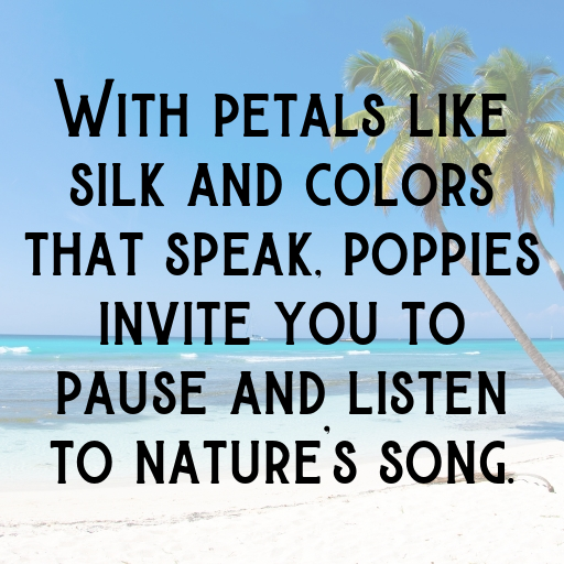 Poppy Captions Photo For Instagram In [2025]-NoBm08