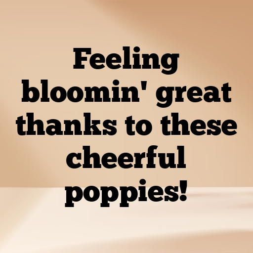 Poppy Captions Photo For Instagram In [2025]-yzSxm9