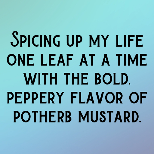 160+ Potherb Mustard Captions For Instagram In (2025) 10 Potherb Mustard Captions Photo For Instagram In (2025)-Ameyc5