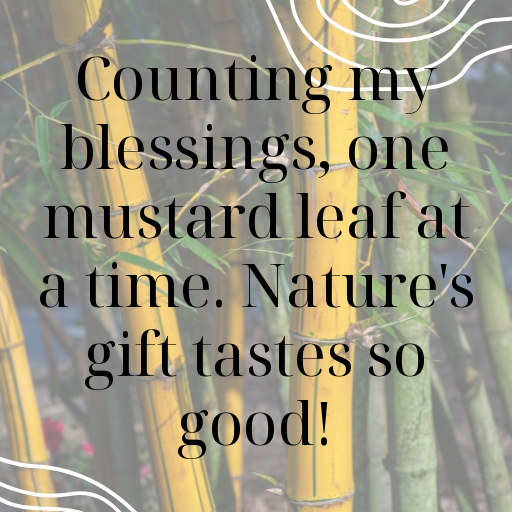 160+ Potherb Mustard Captions For Instagram In (2025) 7 Potherb Mustard Captions Photo For Instagram In (2025)-ESAZ09