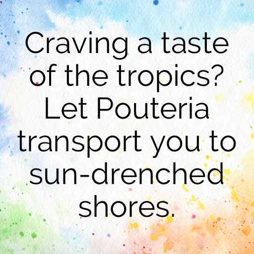 Pouteria Captions Photo For Instagram In [2025]-0xQrNb