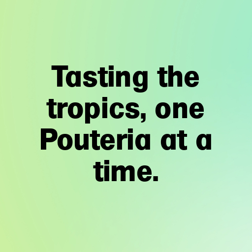 Pouteria Captions Photo For Instagram In [2025]-qhebGK