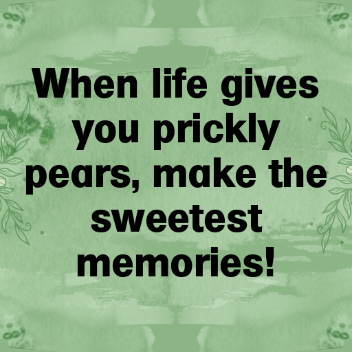 164+ Prickly Pear Captions For Instagram In 2025 4 Prickly Pear Captions Image For Instagram In 2025-wY8LYT