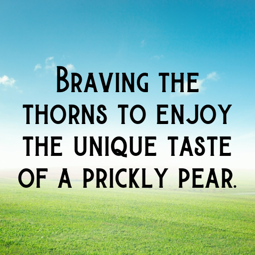 164+ Prickly Pear Captions For Instagram In 2025 3 Prickly Pear Captions Photo For Instagram In 2025-KNz1Xo