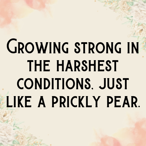 164+ Prickly Pear Captions For Instagram In 2025 7 Prickly Pear Captions Photo For Instagram In 2025-mbXCgi