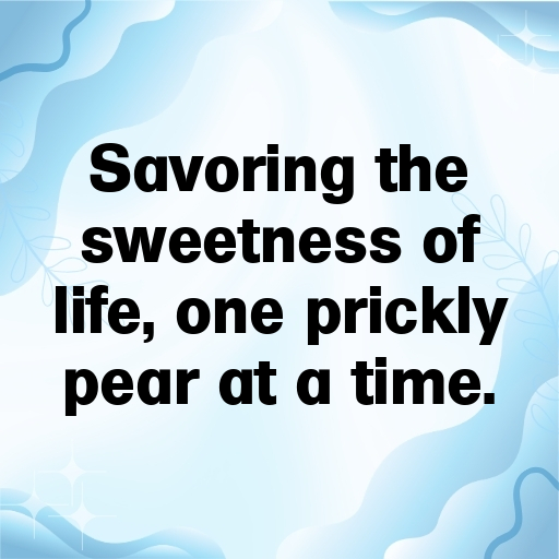 164+ Prickly Pear Captions For Instagram In 2025 8 Prickly Pear Captions Photo For Instagram In 2025-t3Q6rT