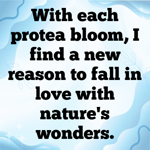 176+ Protea Captions For Instagram In (2025) 7 Protea Captions Image For Instagram In (2025)-m29o1C