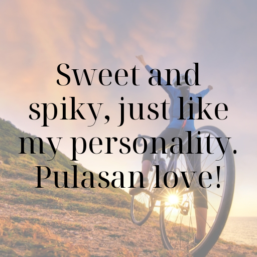 Pulasan Captions Image For Instagram In [2025]-xXTiip