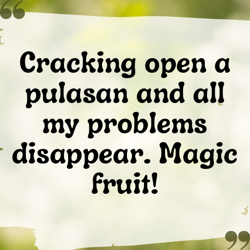 Pulasan Captions Photo For Instagram In [2025]-EGokkH