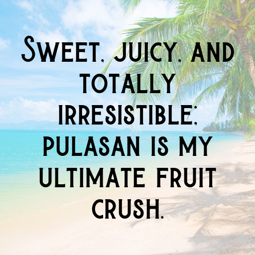 Pulasan Captions Photo For Instagram In [2025]-qiH972