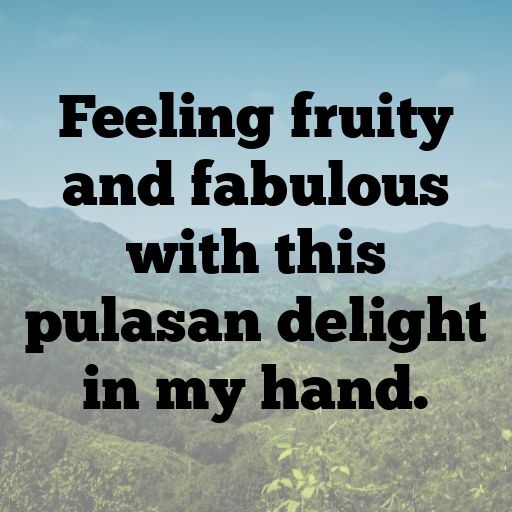 Pulasan Captions Photo For Instagram In [2025]-VT114f