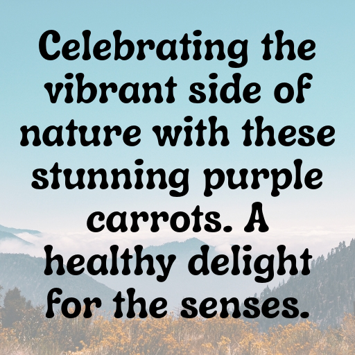Purple Carrot Captions Photo For Instagram In [2025]-OnQnd0