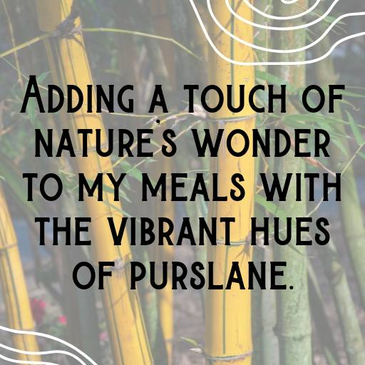 Purslane Captions Image For Instagram In [2025]-C2K11I