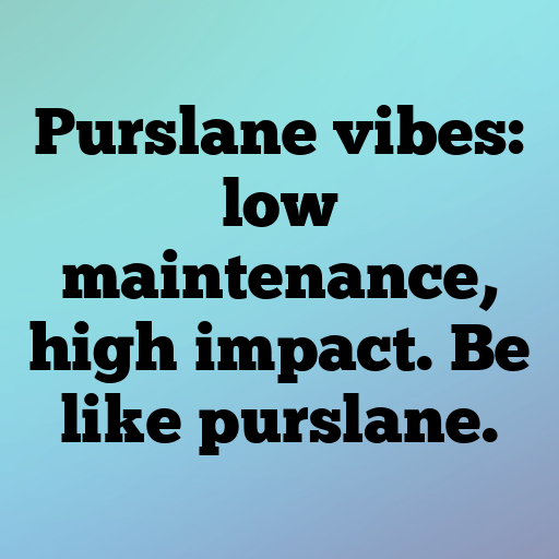 Purslane Captions Image For Instagram In [2025]-gdRsgB