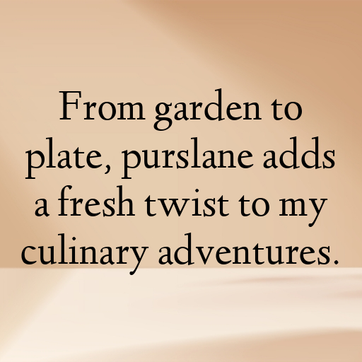 Purslane Captions Photo For Instagram In [2025]-cm1GaC