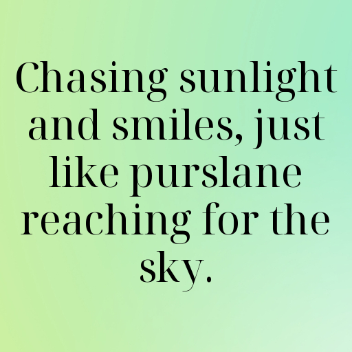 Purslane Captions Photo For Instagram In [2025]-gaIzL8