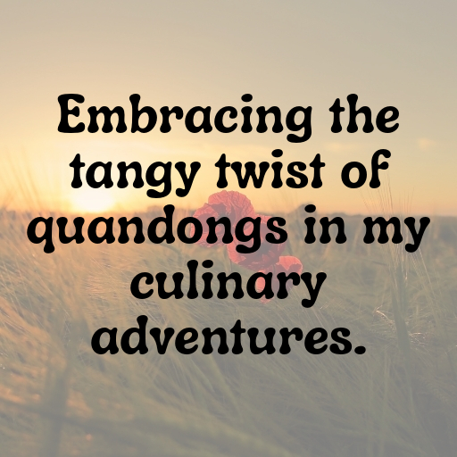 Quandong Captions Image For Instagram In 2025-gVawOR