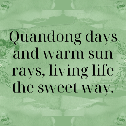 Quandong Captions Photo For Instagram In 2025-hYIyln